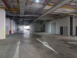 Ct Foodnex (D25), Factory #613602641